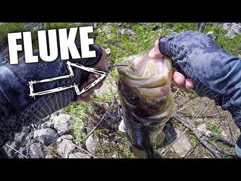 Bank Fishing with Jigs and a Fluke (ALWAYS Be Ready!)