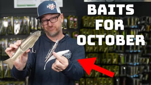 Try These 5 Baits That Most Other Fishermen Are Not Using In October!