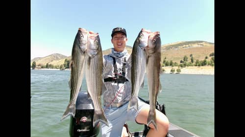 We Caught the TRIFECTA!! (Stripers and Bass at Pyramid Lake)