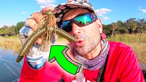 YOU'VE NEVER WACKY RIGGED a PLASTIC WORM LIKE THIS!!!!
