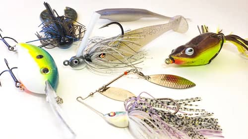 Where Do Bass Go After They Spawn? (And How To Catch Them During The Spring To Summer Transition)