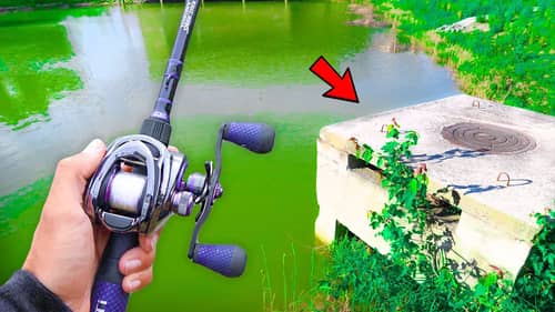 This POND is LOADED w/ Bass! (Bank Fishing)