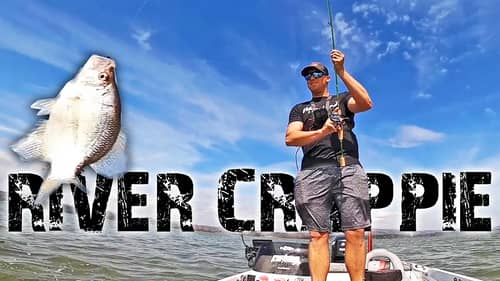 CATCH MORE CRAPPIE in the CURRENT!! (Tennessee River Crappie Fishing)