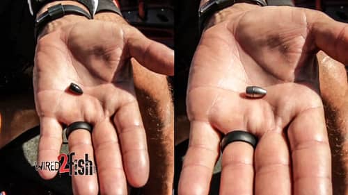 Selecting the Color of Bass Fishing Weights