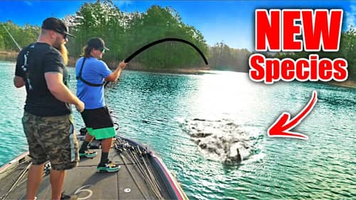 Unexpected GIANT NEW SPECIES of Fish Caught While Bass Fishing!!