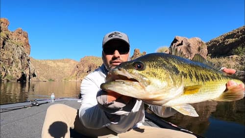 Trophy Fish In The Desert: Epic Catches At An Arid Lake!