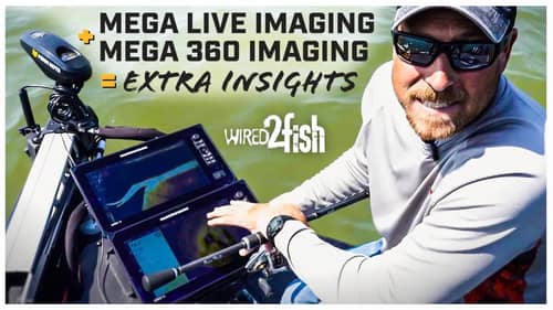Combine MEGA 360 and MEGA Live for More Insight