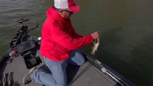 Shallow jerkbaits for spawning bass