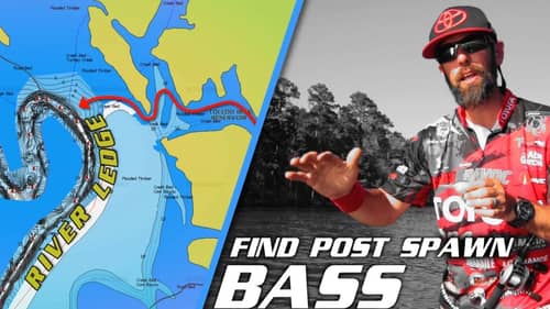 How to Find Bass in the Post Spawn Transition