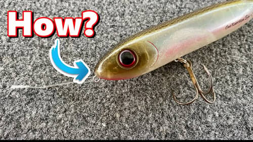 Why This Topwater Lure Catches BIG BAGS
