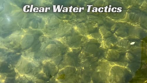 Take Your CLEAR Water Fishing To The Next Level With These Fishing Tips!