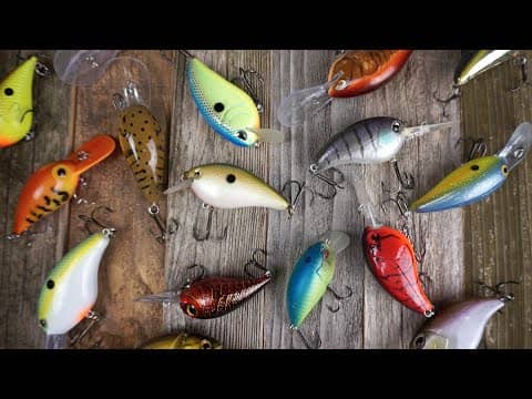 Crankbait Fishing: What You Need To Know