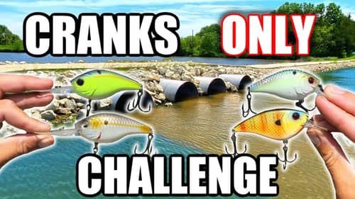 UNBELIEVABLE Crankbaits ONLY Fishing Challenge!!! (MONSTER Fish)