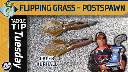 Caleb Kuphall's winning setups at Guntersville (Fishing Thick Grass)