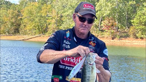 They Bit The BIG Baits Today At The Bassmaster Open On Lake Hartwell…