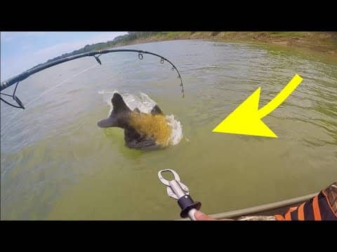 We THOUGHT it was a CATFISH!! (MASSIVE)