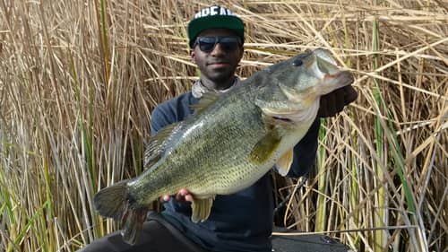 How To Catch Big Prespawn Bass On Big Swimbaits!