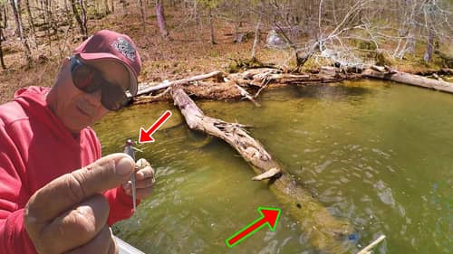 USE THIS Crappie Fishing HACK To Catch LOADS Of Crappie From Sunrise To Sunset!!!