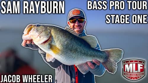 Major League Fishing Stage One - Sam Rayburn (Qualifying Round)