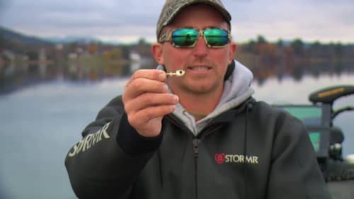 ❄ Finesse Swimbait Bass Fishing Secrets for Winter Cold ❄
