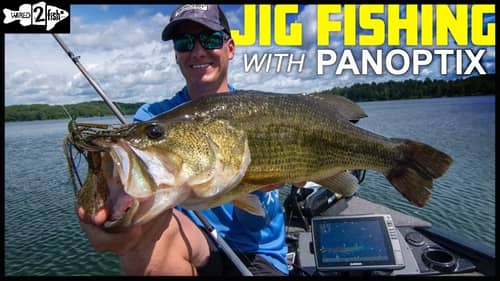 Jig Fishing Tips for Grassline Bass With Panoptix LiveScope