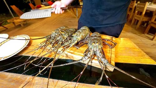 GIANT Lobster Catch and Cook!!! (PLUS Snapper Ceviche & Tuna)