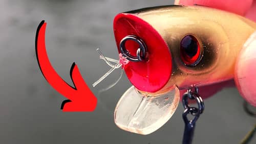 The POPPER You Should Start FISHING (Topwater Blowups)