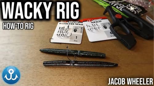 The #1 Bass Fishing Lure in the World: The Wacky Rig (How-To Rig)