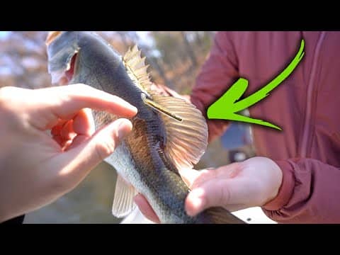 How RARE Is This Tagged Fish? (Surprise WINTER Catch)