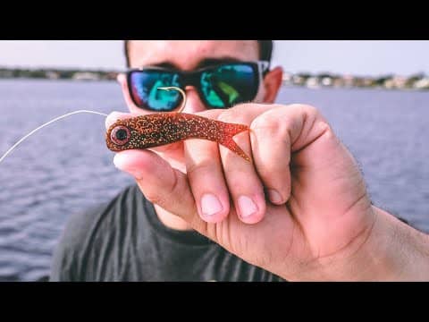 This Stupid Looking Lure Catches Multiple BIG Fish!