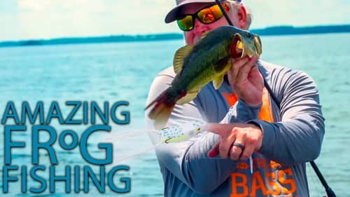 How to Fish Topwater Frogs : Summer Bass Fishing Tips