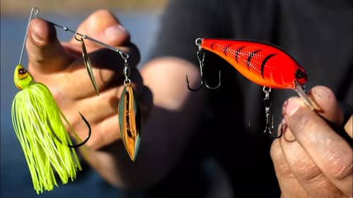 Which Lure Colors Work Best In Spring?