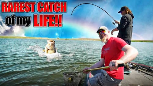 It took over 30 YEARS to Catch a Fish THIS Rare!! (INSANE Megabag)