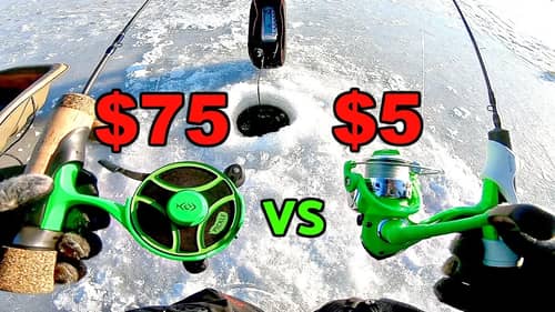 CHEAP vs. EXPENSIVE Ice Fishing Reel CHALLENGE!!! (Surprising)