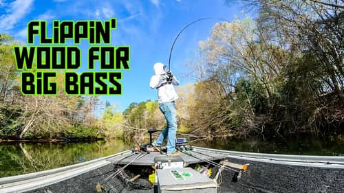 Flippin' Wood For BIG Spawning BASS!! || Spring Bass Fishing