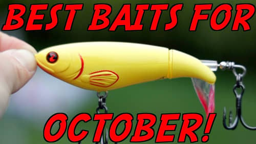 YOU Can't Beat These 3 OCTOBER Lures!