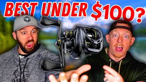The Best BUDGET REELS Under $100?! Are They WORTH IT?