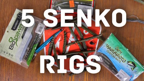 5 Ways to Rig a Senko - How to Fish -  Bass Fishing Tips and Techniques