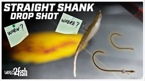 Benefits of Drop Shot Fishing with Straight Shank Hooks
