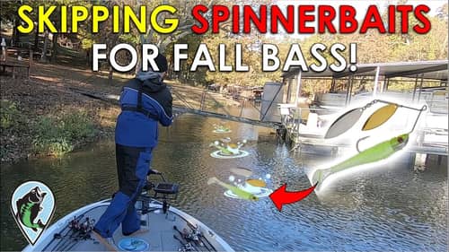 Unique Twist To Classic Fall Pattern | Fall Bass Fishing Tips