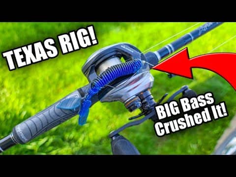 Throw THIS Rig if You FIND WOOD (Texas Rig for Beginners)