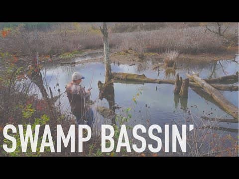 Swamp Bass Fishing  -- October MTB Slam Pro Edition