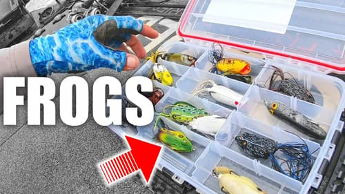 FROG FISHING - WHAT Lure Type to use WHEN???