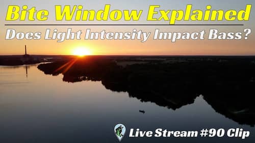 Bite Window Explained | FTM Livestream #90