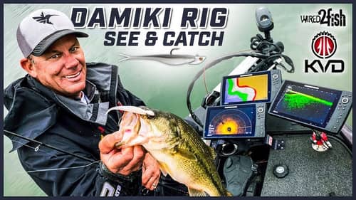 How to Damiki Rig Spring Bass with KVD