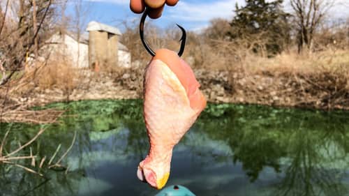 I Did NOT Expect To Catch THAT with THIS Bait!!! (Pond Monster)