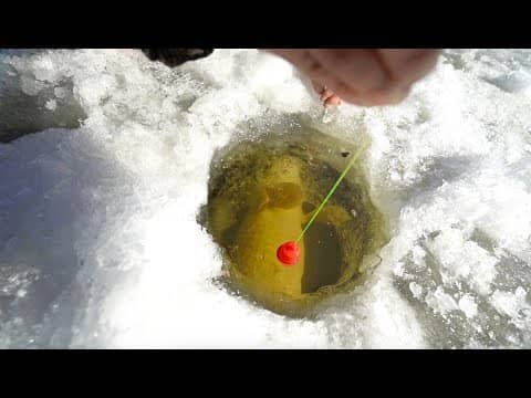 Epic Ice Fishing BATTLE With 20lb+ Monster!