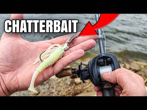 SIMPLE Chatterbait Technique Catches Spring Bass (Bank Fishing)