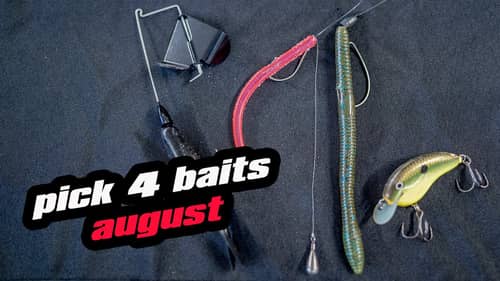 Pick 4 | Baits For August