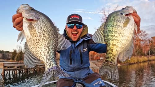 Catch MONSTER CRAPPIE Fishing BRUSH & BLUFFS! Catching BIG SLABS!
